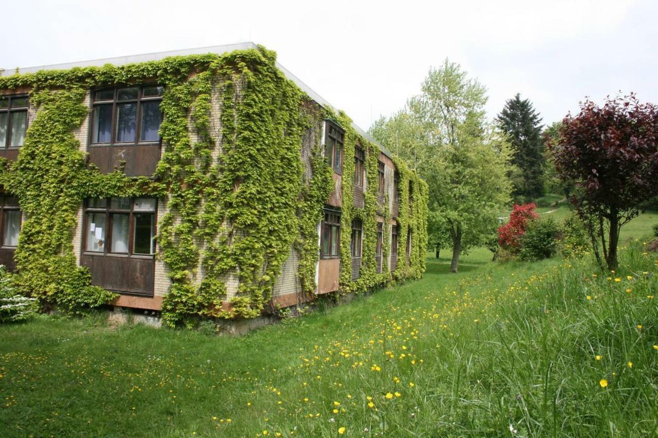 Blumenmeer Appartment Ober-Hambach Exterior photo